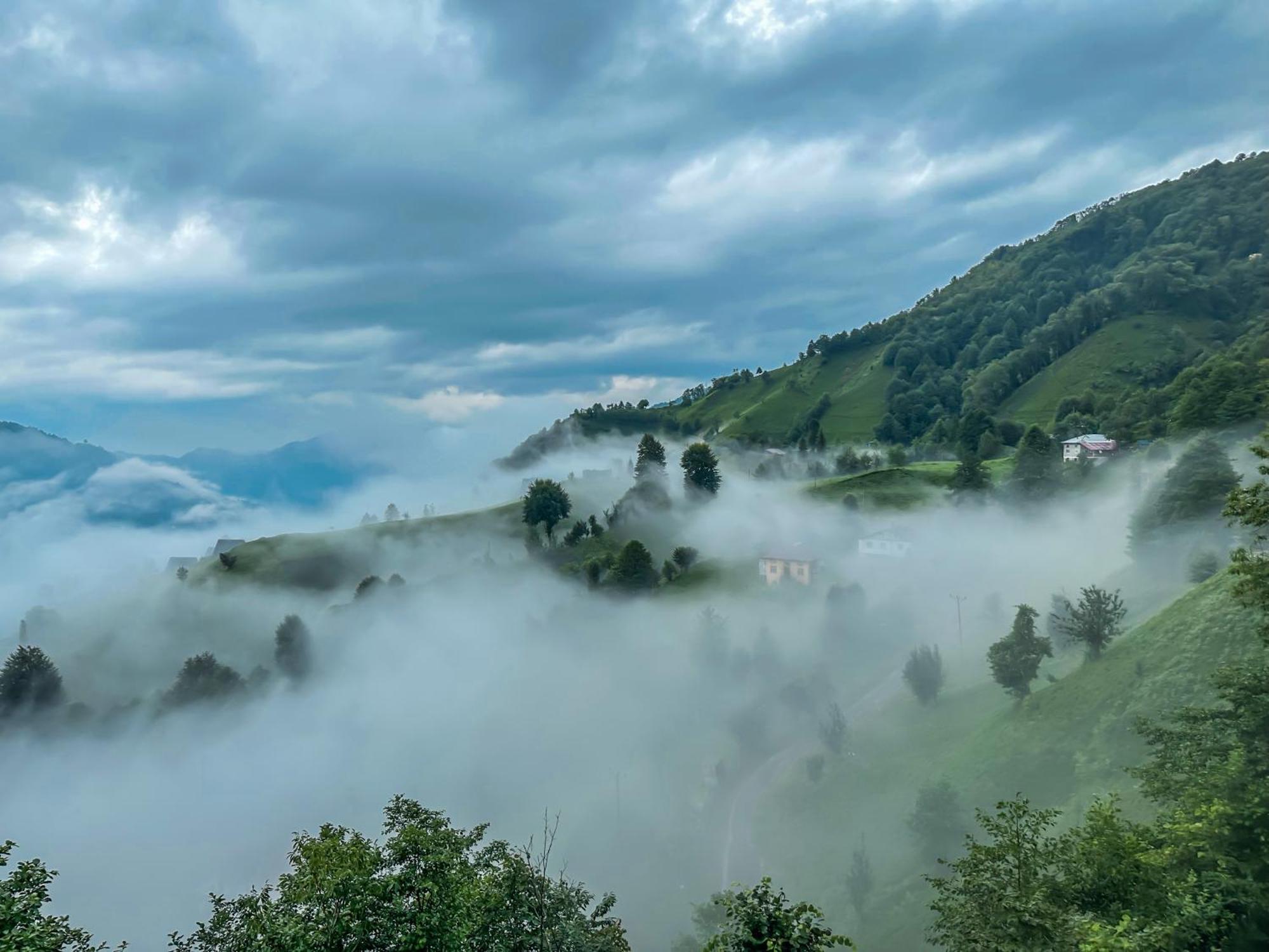 Organic Village Bungalow Ayder Yaylası Eksteriør bilde
